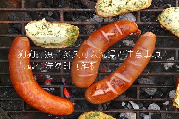 狗狗打疫苗多久可以洗澡？注意事項與最佳洗澡時間解析