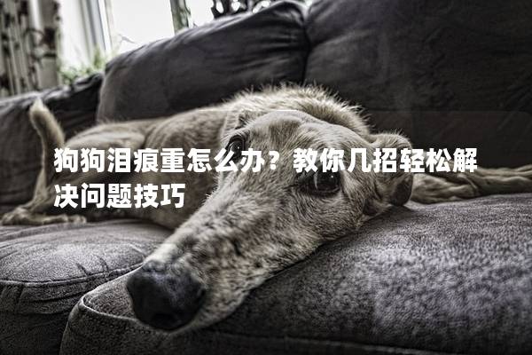 狗狗淚痕重怎么辦？教你幾招輕松解決問題技巧