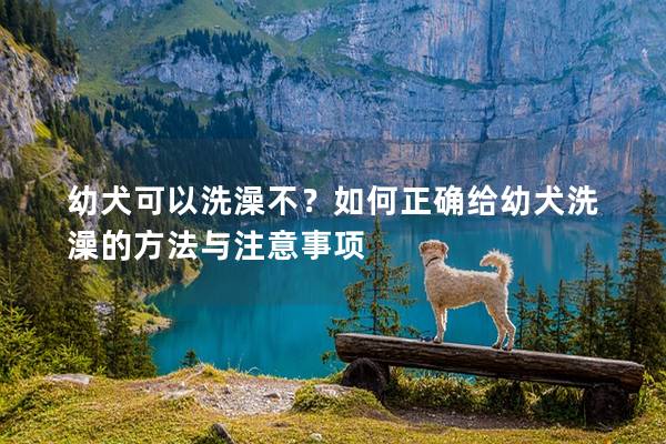 幼犬可以洗澡不？如何正確給幼犬洗澡的方法與注意事項(xiàng)