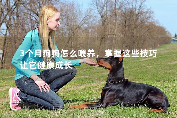 3個月狗狗怎么喂養，掌握這些技巧讓它健康成長