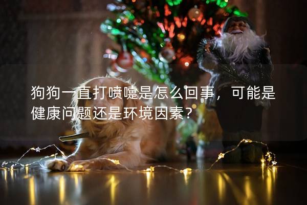 狗狗一直打噴嚏是怎么回事,可能是健康問題還是環(huán)境因素?