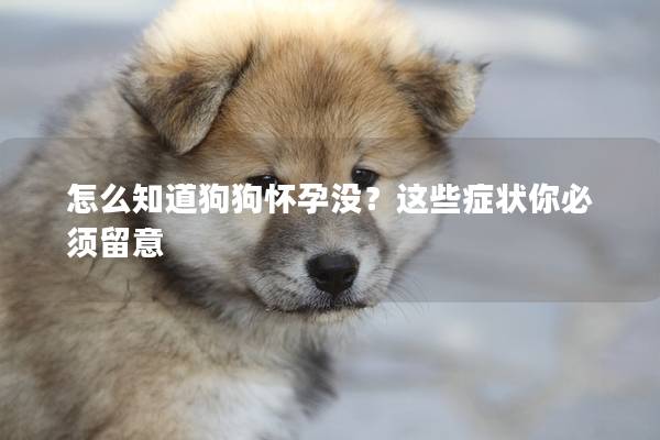 怎么知道狗狗懷孕沒？這些癥狀你必須留意