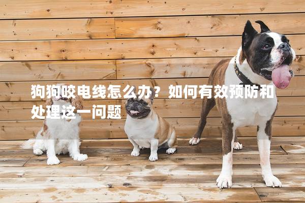 狗狗咬電線怎么辦？如何有效預(yù)防和處理這一問(wèn)題