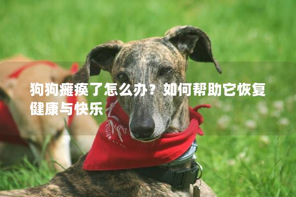 狗狗癱瘓了怎么辦？如何幫助它恢復(fù)健康與快樂