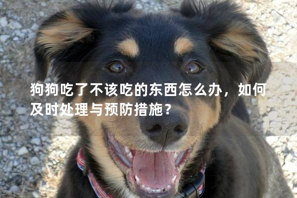 狗狗吃了不該吃的東西怎么辦，如何及時處理與預防措施？