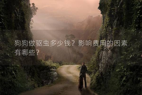 狗狗做驅蟲多少錢？影響費用的因素有哪些？