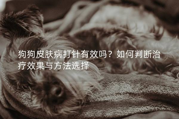 狗狗皮膚病打針有效嗎?如何判斷治療效果與方法選擇 狗狗皮膚病打針有效嗎?如何判斷治療效果與方法選擇