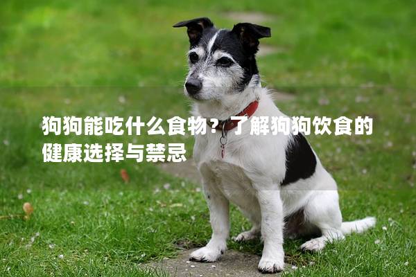 狗狗能吃什么食物？了解狗狗飲食的健康選擇與禁忌