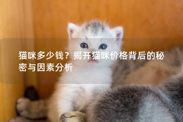 貓咪多少錢？揭開貓咪價格背后的秘密與因素分析