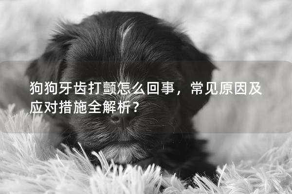 狗狗牙齒打顫怎么回事，常見原因及應(yīng)對措施全解析？