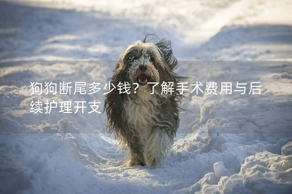 狗狗斷尾多少錢？了解手術費用與后續護理開支