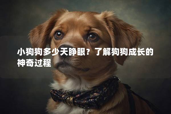 小狗狗多少天睜眼？了解狗狗成長的神奇過程
