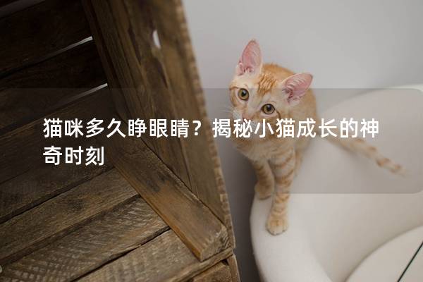 貓咪多久睜眼睛?揭秘小貓成長的神奇時刻 貓咪多久睜眼睛?揭秘小貓成長的神奇時刻