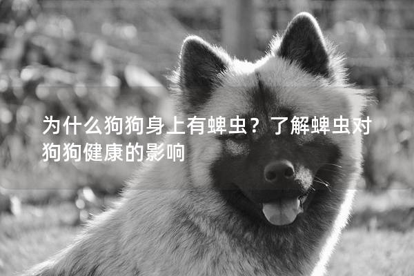 為什么狗狗身上有蜱蟲？了解蜱蟲對狗狗健康的影響