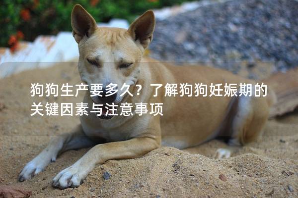 狗狗生產要多久？了解狗狗妊娠期的關鍵因素與注意事項