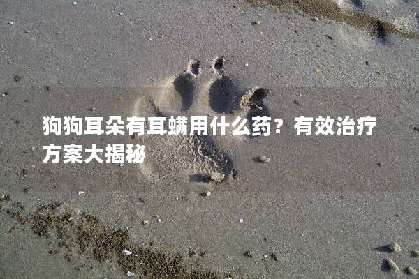 狗狗耳朵有耳螨用什么藥？有效治療方案大揭秘