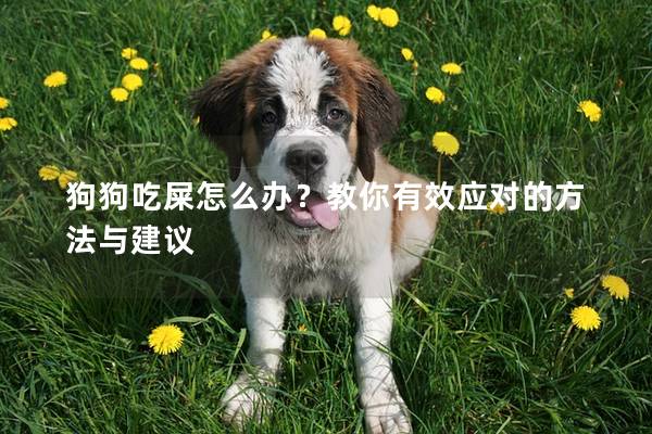 狗狗吃屎怎么辦?教你有效應對的方法與建議 狗狗吃屎怎么辦?教你有效應對的方法與建議
