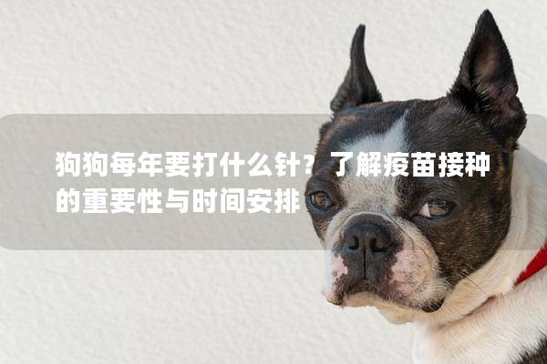狗狗每年要打什么針？了解疫苗接種的重要性與時間安排