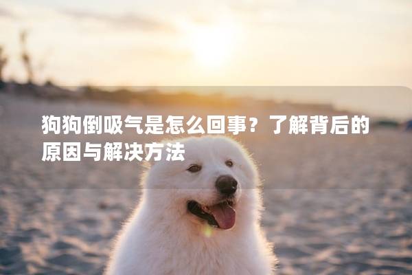 狗狗倒吸氣是怎么回事？了解背后的原因與解決方法