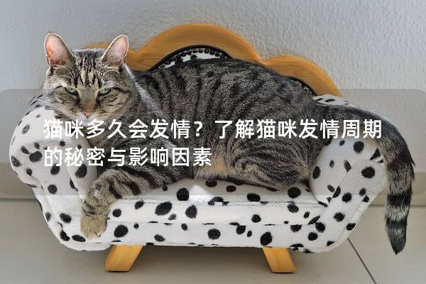 貓咪多久會發情？了解貓咪發情周期的秘密與影響因素