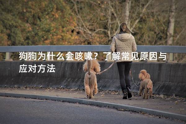 狗狗為什么會咳嗽？了解常見原因與應對方法