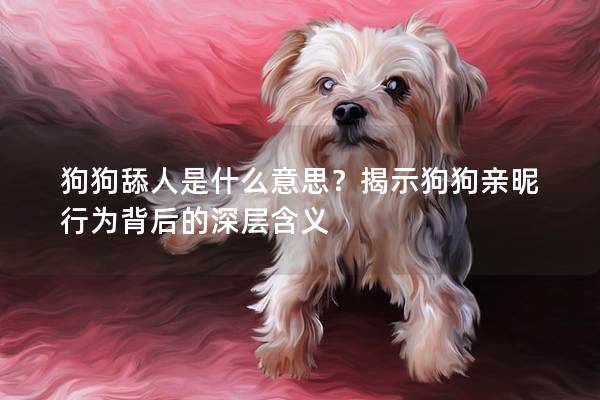 狗狗舔人是什么意思？揭示狗狗親昵行為背后的深層含義