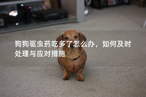 狗狗驅(qū)蟲藥吃多了怎么辦，如何及時(shí)處理與應(yīng)對(duì)措施