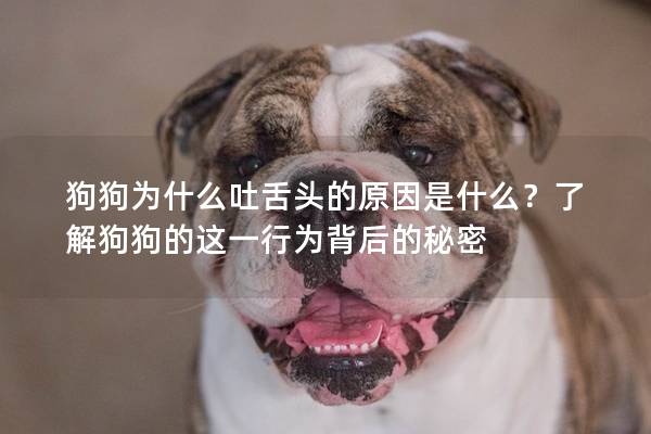 狗狗為什么吐舌頭的原因是什么?了解狗狗的這一行為背后的秘密 狗狗為什么吐舌頭的原因是什么?了解狗狗的這一行為背后的秘密