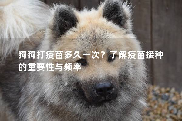 狗狗打疫苗多久一次？了解疫苗接種的重要性與頻率