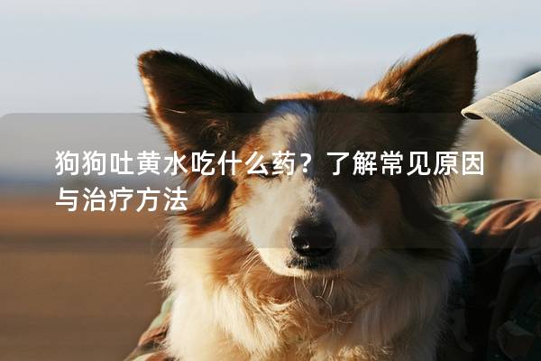 狗狗吐黃水吃什么藥？了解常見原因與治療方法