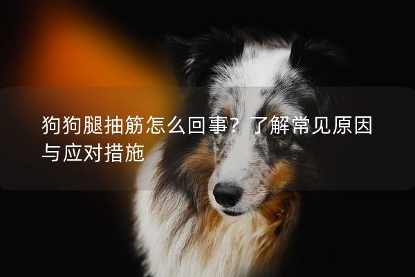 狗狗腿抽筋怎么回事?了解常見原因與應對措施 狗狗腿抽筋怎么回事?了解常見原因與應對措施