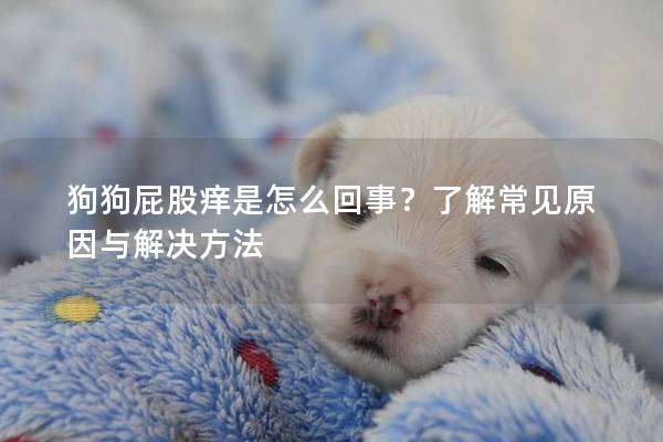 狗狗屁股癢是怎么回事？了解常見原因與解決方法