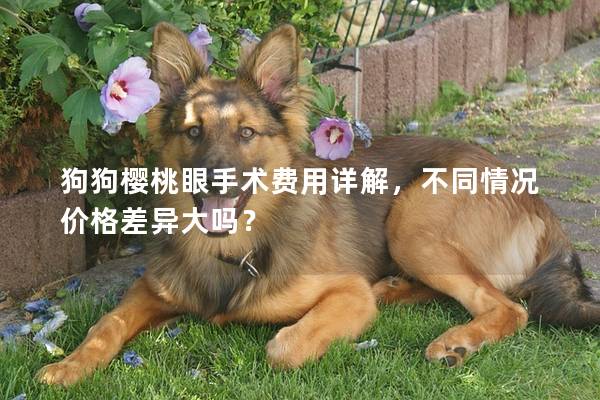 狗狗櫻桃眼手術(shù)費(fèi)用詳解,不同情況價(jià)格差異大嗎? 狗狗櫻桃眼手術(shù)費(fèi)用詳解,不同情況價(jià)格差異大嗎?