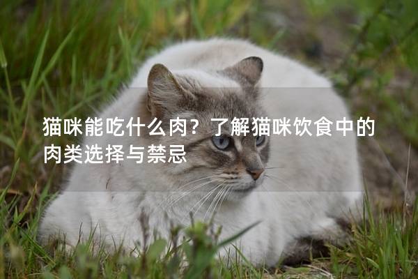 貓咪能吃什么肉？了解貓咪飲食中的肉類選擇與禁忌