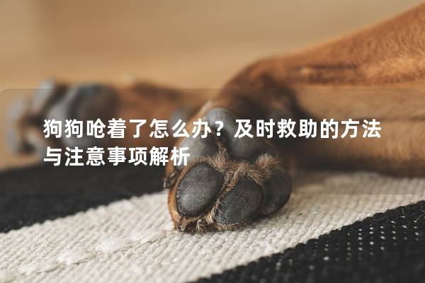 狗狗嗆著了怎么辦？及時(shí)救助的方法與注意事項(xiàng)解析