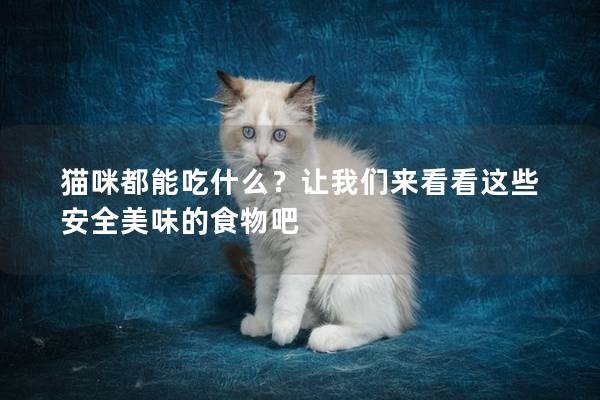 貓咪都能吃什么？讓我們來看看這些安全美味的食物吧