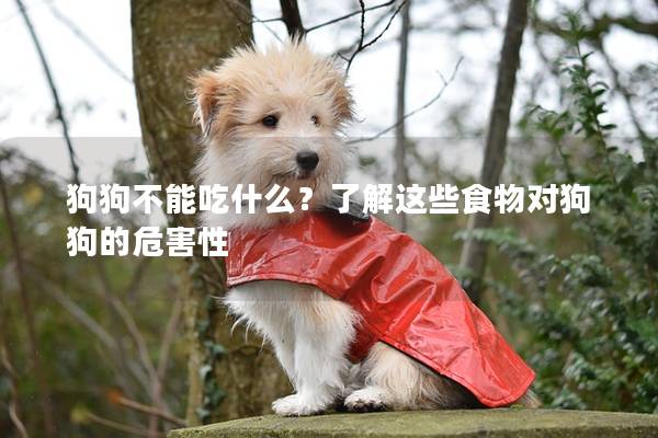 狗狗不能吃什么?了解這些食物對狗狗的危害性 狗狗不能吃什么?了解這些食物對狗狗的危害性