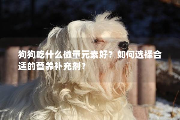 狗狗吃什么微量元素好？如何選擇合適的營養補充劑？