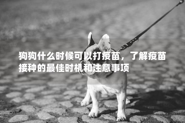 狗狗什么時候可以打疫苗，了解疫苗接種的最佳時機和注意事項