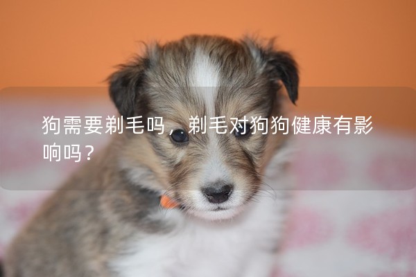 狗需要剃毛嗎，剃毛對(duì)狗狗健康有影響嗎？