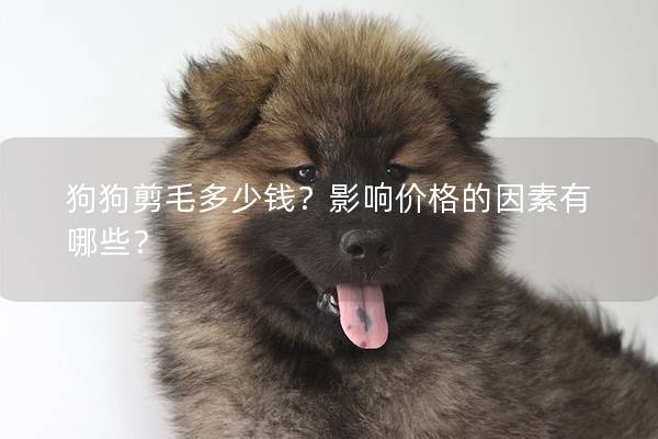 狗狗剪毛多少錢？影響價(jià)格的因素有哪些？