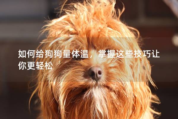 如何給狗狗量體溫,掌握這些技巧讓你更輕松 如何給狗狗量體溫,掌握這些技巧讓你更輕松
