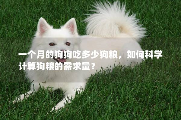 一個月的狗狗吃多少狗糧，如何科學(xué)計(jì)算狗糧的需求量？