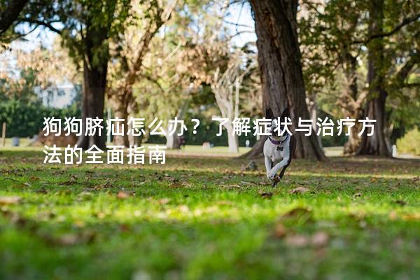 狗狗臍疝怎么辦？了解癥狀與治療方法的全面指南