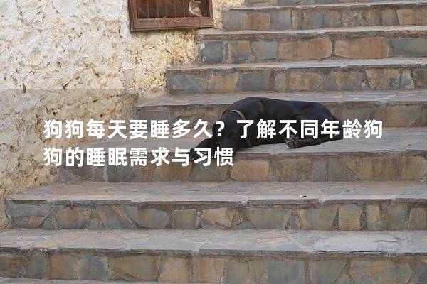 狗狗每天要睡多久？了解不同年齡狗狗的睡眠需求與習慣