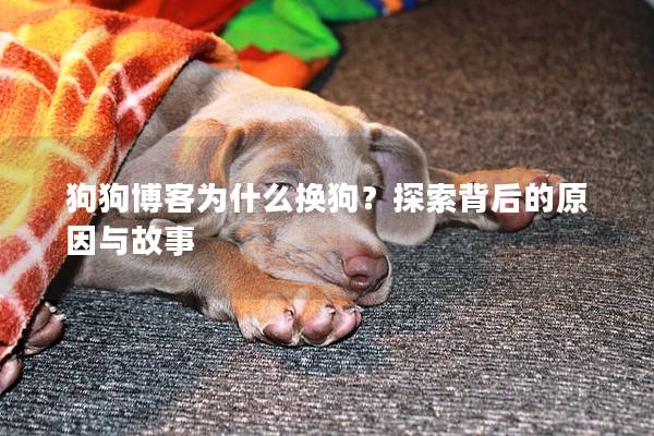 狗狗博客為什么換狗?探索背后的原因與故事 狗狗博客為什么換狗?探索背后的原因與故事