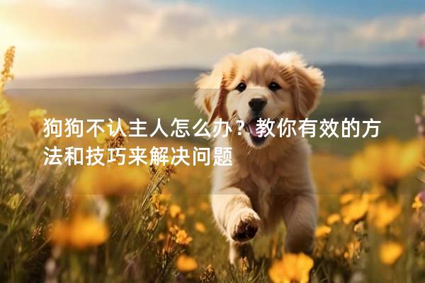 狗狗不認主人怎么辦？教你有效的方法和技巧來解決問題