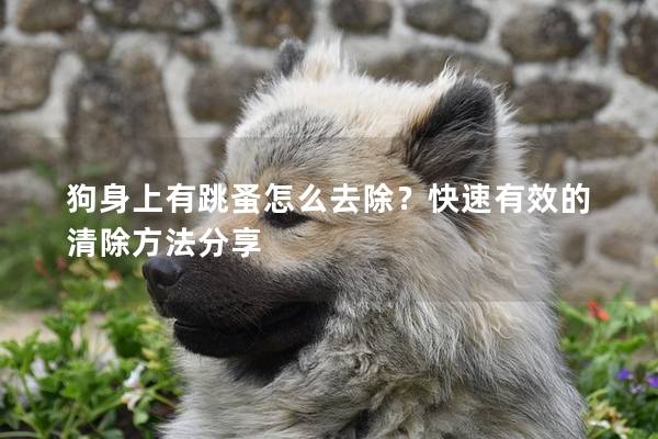 狗身上有跳蚤怎么去除？快速有效的清除方法分享