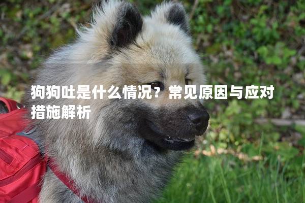 狗狗吐是什么情況？常見原因與應對措施解析