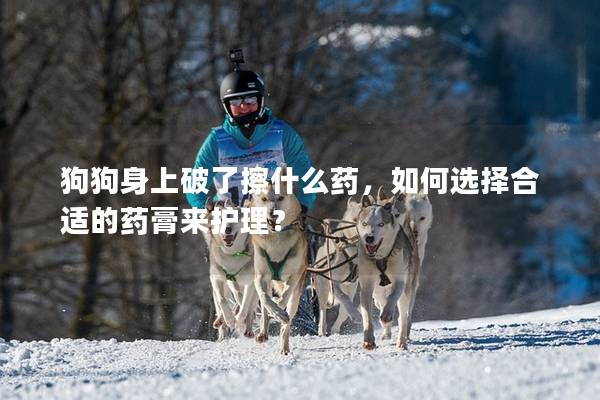 狗狗身上破了擦什么藥，如何選擇合適的藥膏來護理？